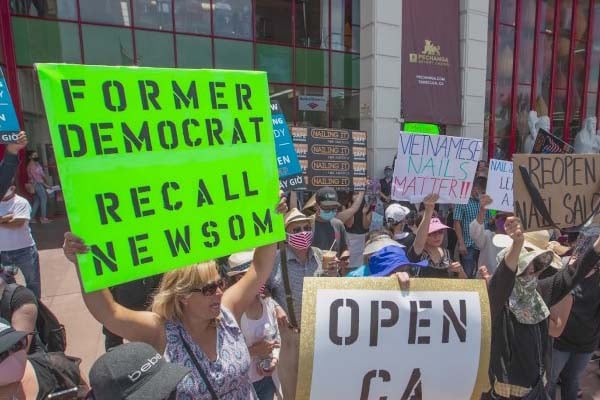 Recall Gov. Newsom Newt's World Podcast