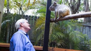 Newt Gingrich Why Zoos Matter Podcast