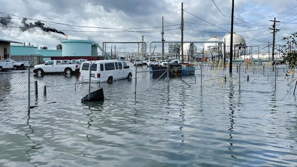 Newts World The Economic Impact of Hurricanes after the Storm