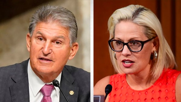 Newt Audio Manchin Sinema