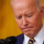 Newt Biden Crisis