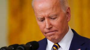 Newt Biden Crisis