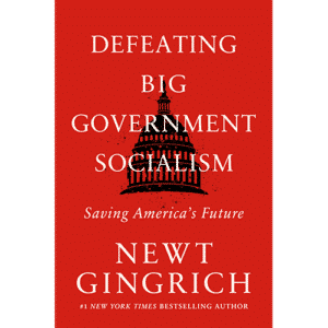 Defeating Big Government Socialism Store view