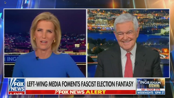 Newt: The Democratic Party is breaking into two wings. One is weird, and the other is insane.